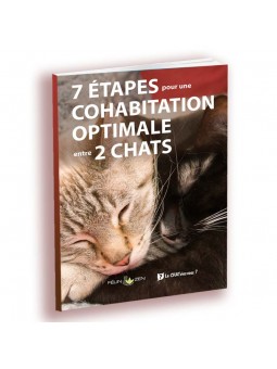 Programme cohabitation 2 chats