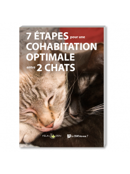 Solution bonne cohabitation 2 chats